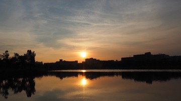 P1010555
