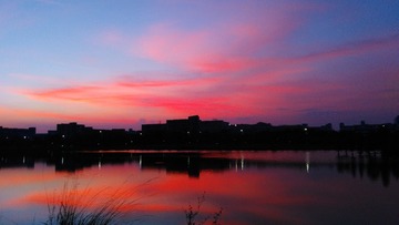 P1010568