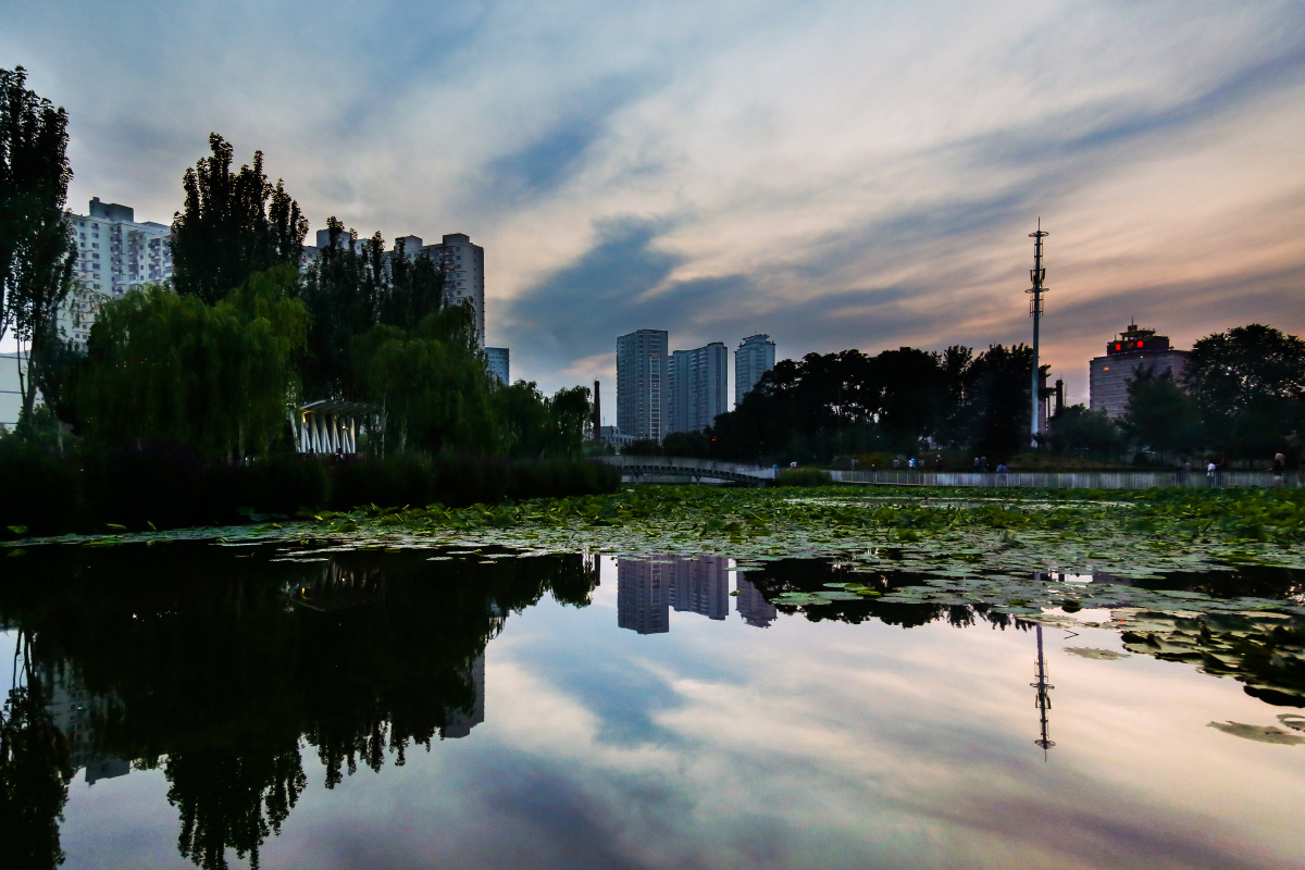 【不一样的金州城】