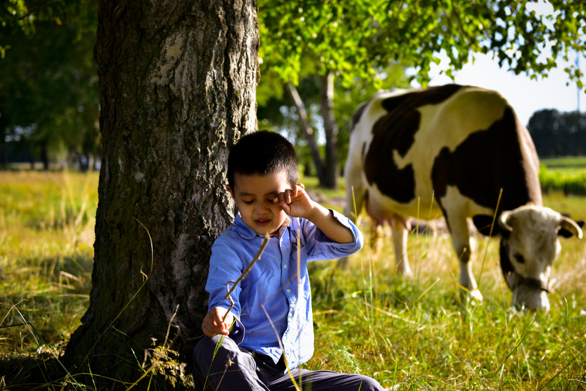 放牛的孩子被风沙眯了眼睛weiping001关注