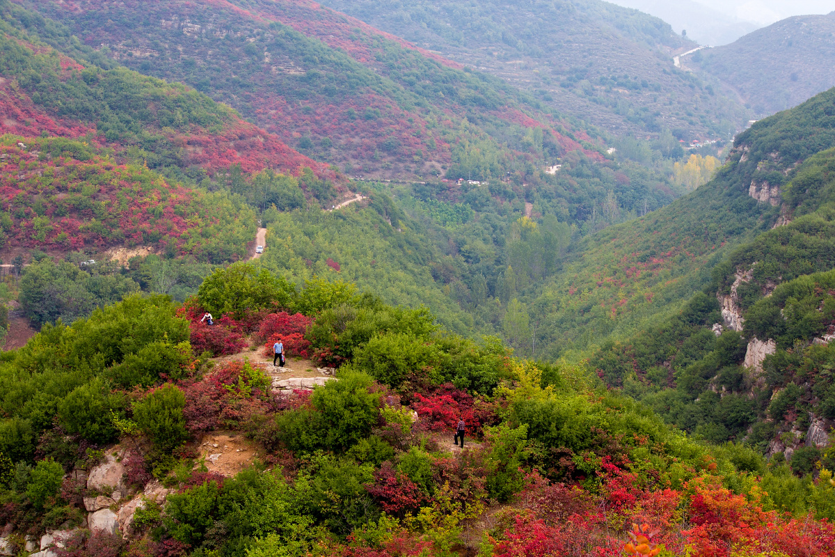 禹州鸠山红叶谷