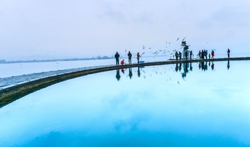 D4S_1582_ - 