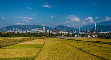 _D4S2731_DxO_