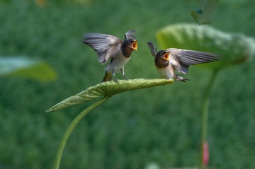 D4S_0057_DxO
