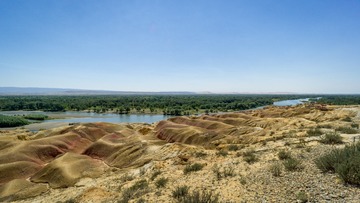 20190808-DSC07087