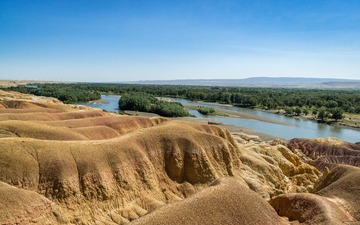 20190808-DSC07112