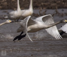 20150330-_DSC2051