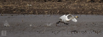 20150330-_DSC2062