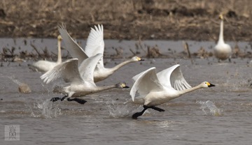 20150330-_DSC2048