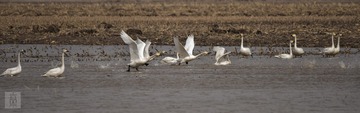 20150330-_DSC2056