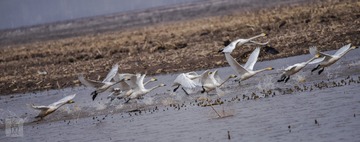 20150330-_DSC2040