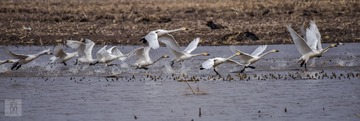 20150330-_DSC2039