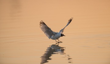 1026542