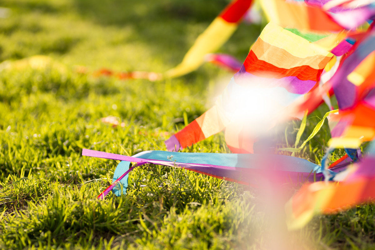 阳光下的草坪,风筝的尾巴,凑成了一片鲜艳的色彩.