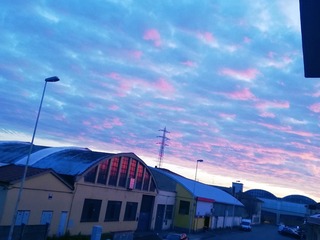 737616
