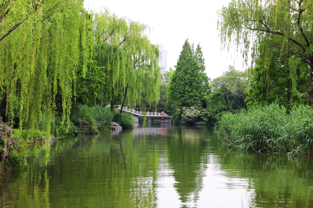 大明湖公园 - 杰旅拍 - 图虫