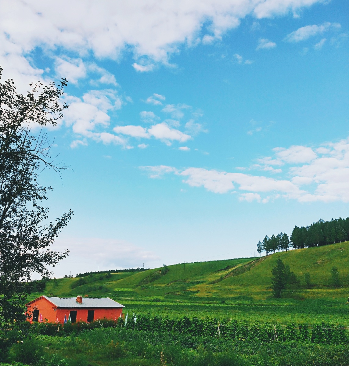 蓝天白云绿山人家