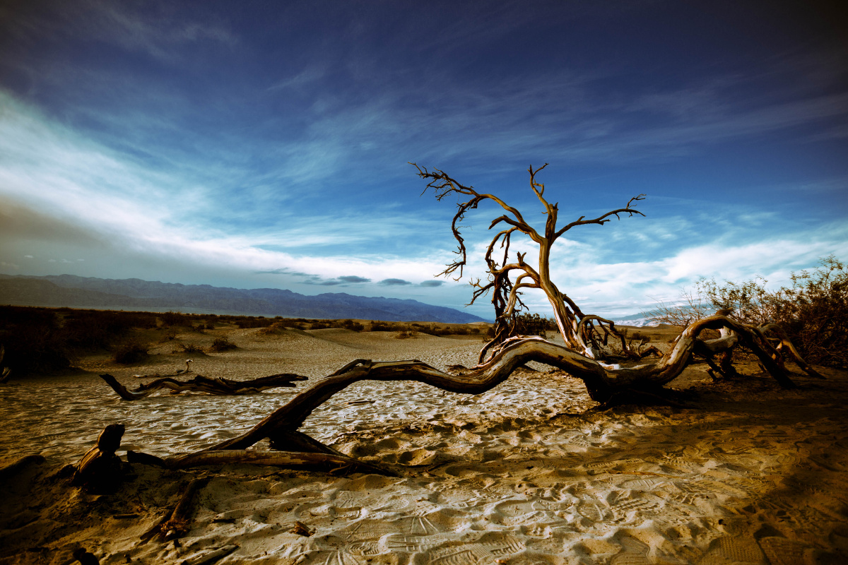 《the death valley》拍摄于:死亡峡谷国家公园