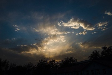 TTV_8696