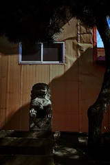 5C0CE932-04B4-4DB2-B065-1767117808C9/L0/001
