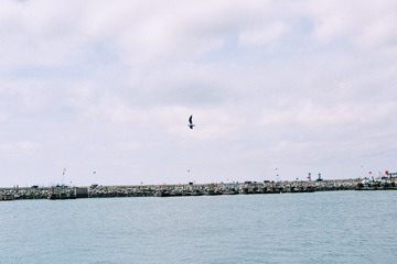 93D168BB-09B1-48D5-B54F-572712D79BA2/L0/001