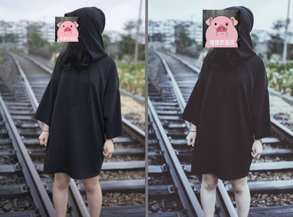 11107951.jpg