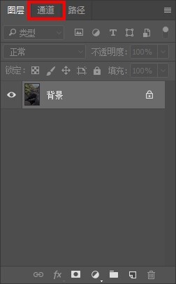 11117097.jpg