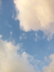 3595927
