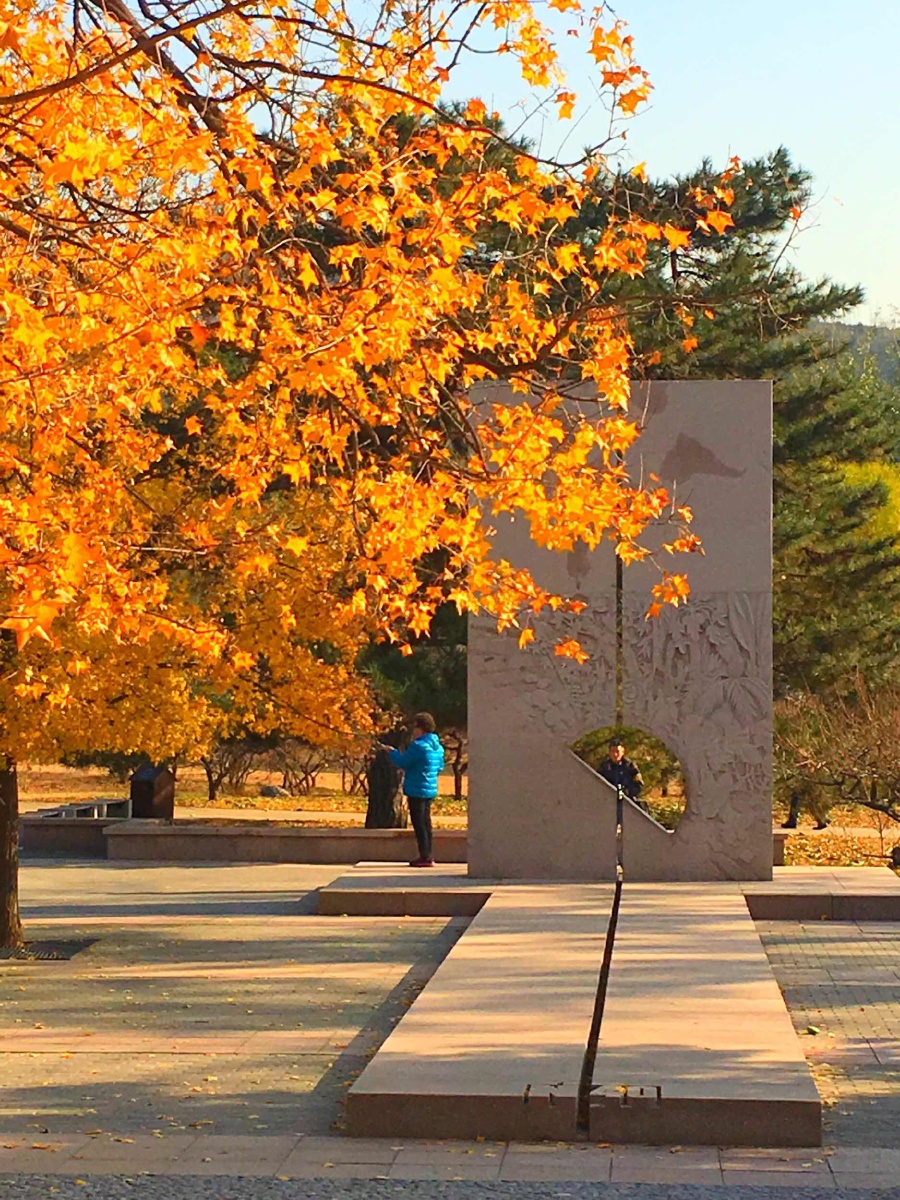 北京植物园北纬40度地标