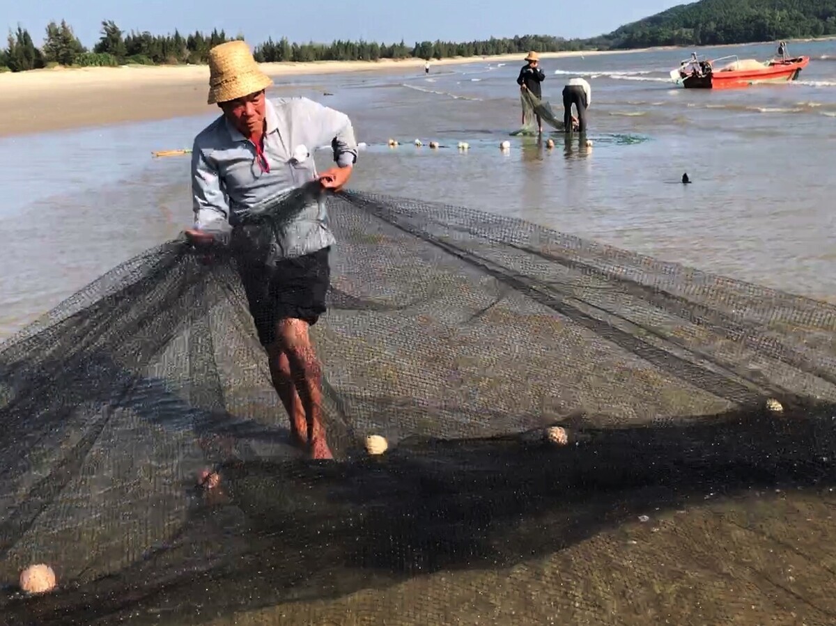 中国有养殖三文鱼,三文鱼国内没有引发争议