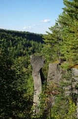 长白山 地下森林