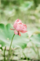 9495F207-583D-42EF-B2B3-6D259CFC5C65/L0/001