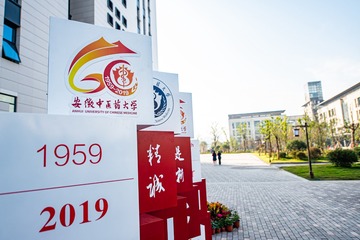 3391621