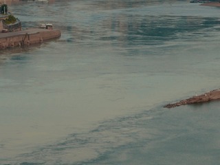 1616493