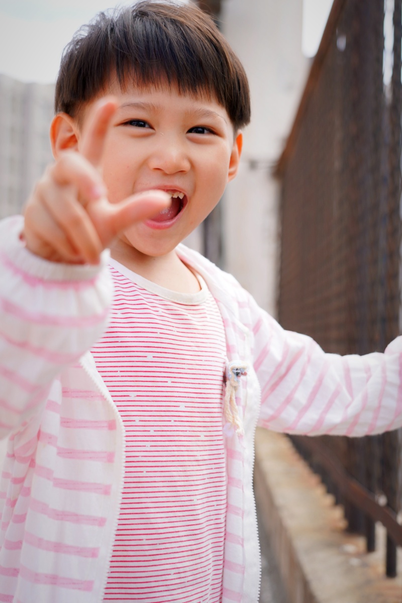 上树耍水逮老鼠