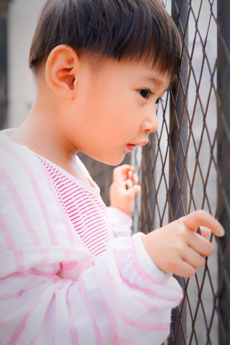 上树耍水逮老鼠