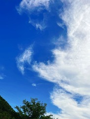 F6BE7141-F4EF-4C63-8178-7E885EBF96CA/L0/001
