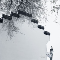DSC05443-=