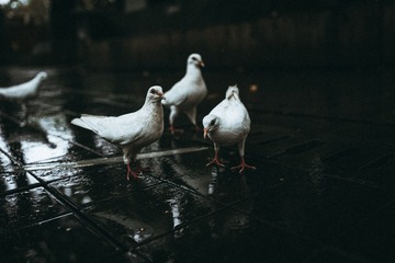 28012