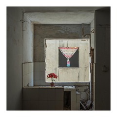 _IMG0459.