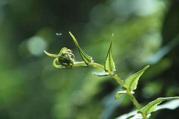 SDIM5697