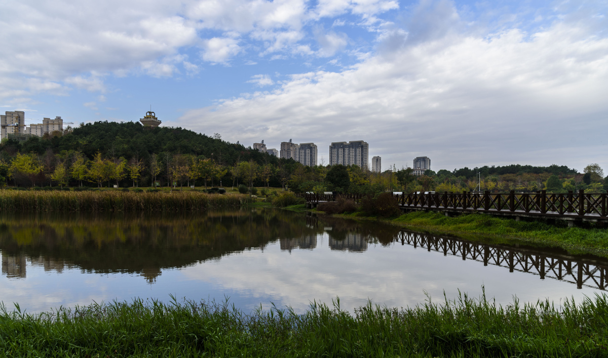 藏龙岛国家湿地公园