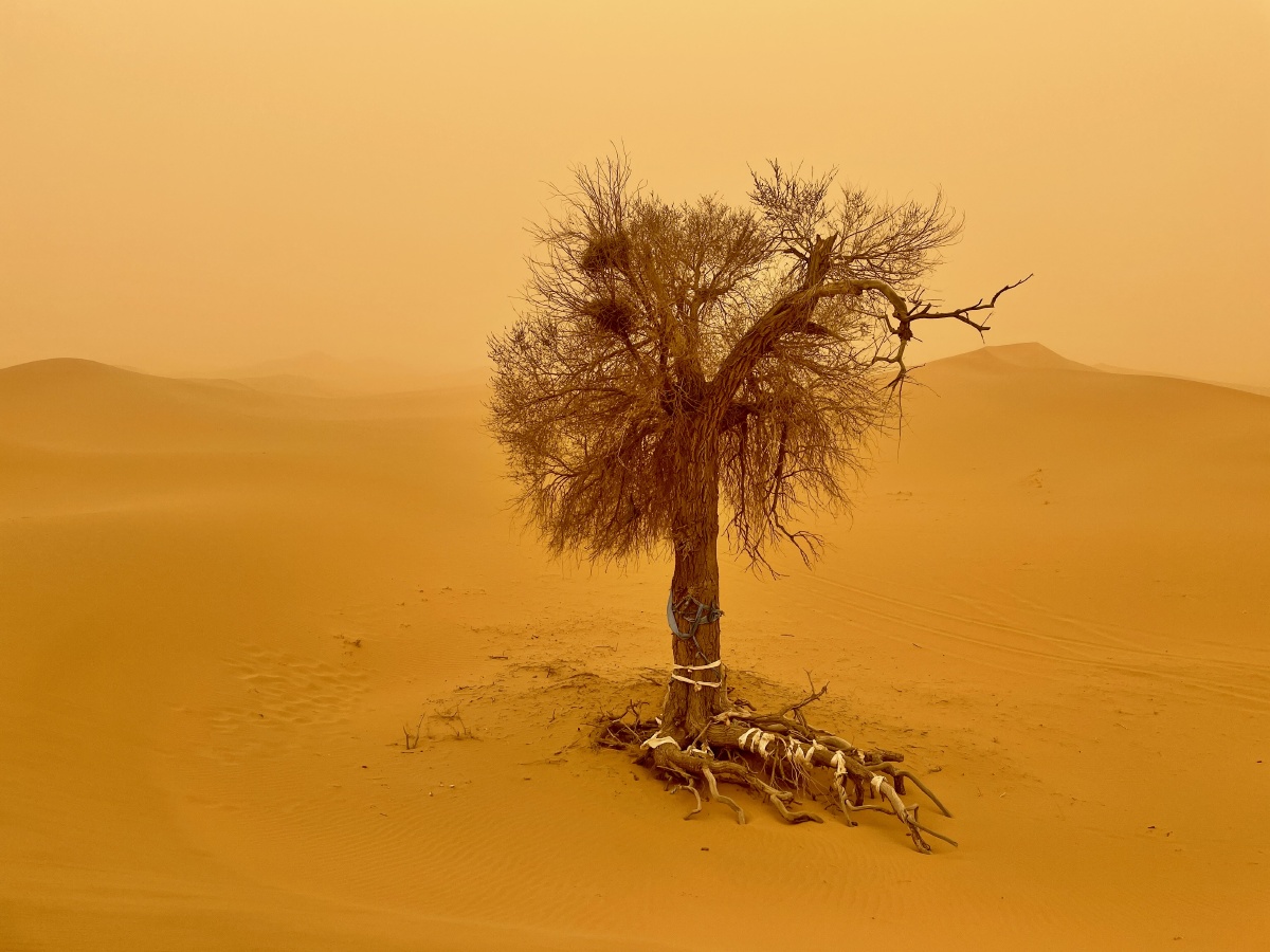 沙尘暴中的腾格里沙漠