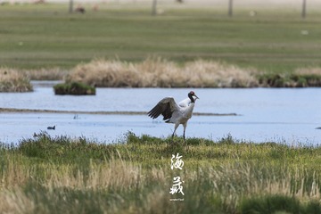 DSC_2909_