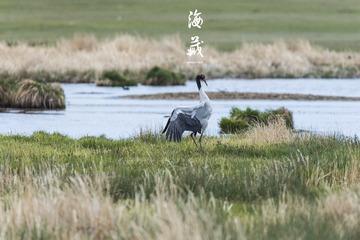 DSC_2971_