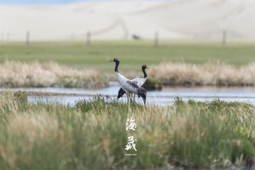 DSC_3097_