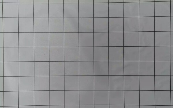 31015450.jpg