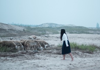 _IMG0388_1