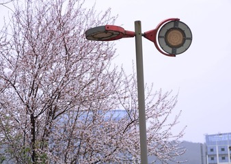 7DC952CF-B92B-442B-9396-D323B0FA7FA8/L0/001