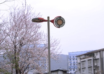 34984359-D195-41FC-B754-35AA248E1DD8/L0/001